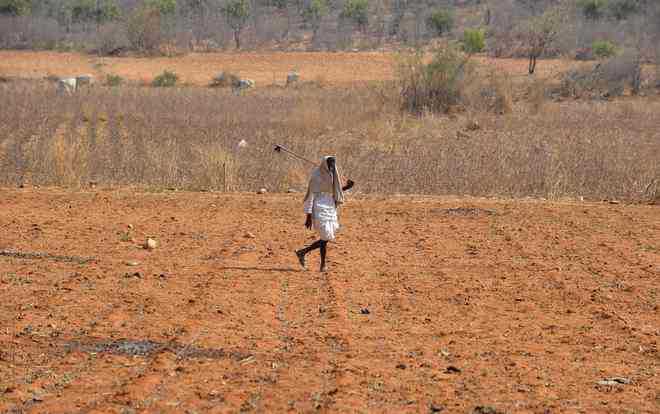 Farmers jittery over prolonged dry spell