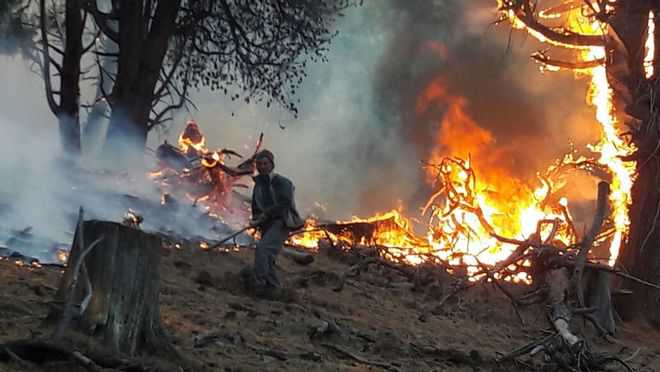 Forest fire perishes 150 hectares in Dodra-Kuar