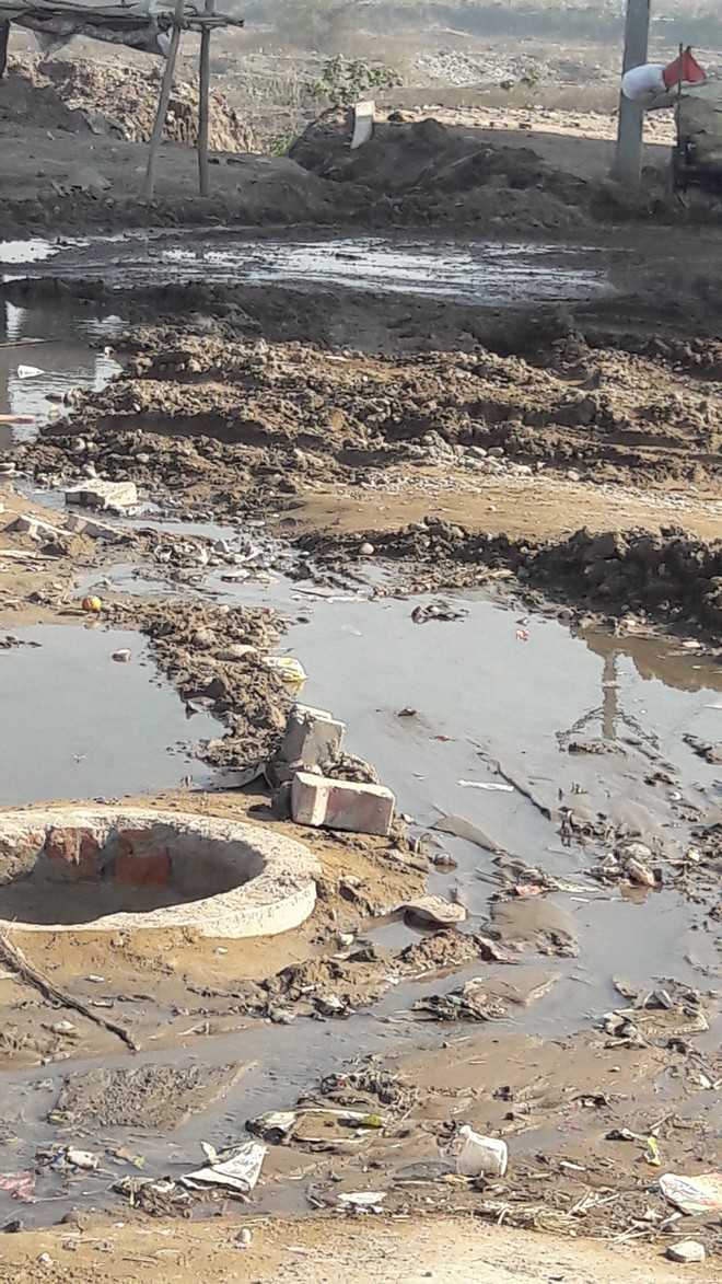 Dirty water, choked drains bane of Ward No. 11 The Tribune India