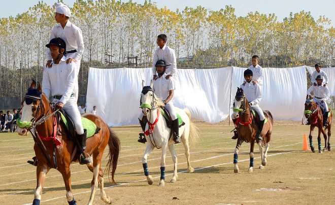 Equestrian show a hit in DPS- Raipur sports day