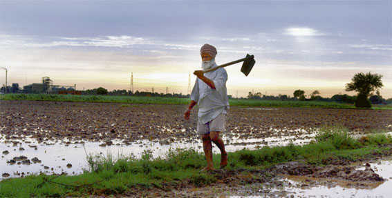 Punjab panel wants PF, pension for small farmer