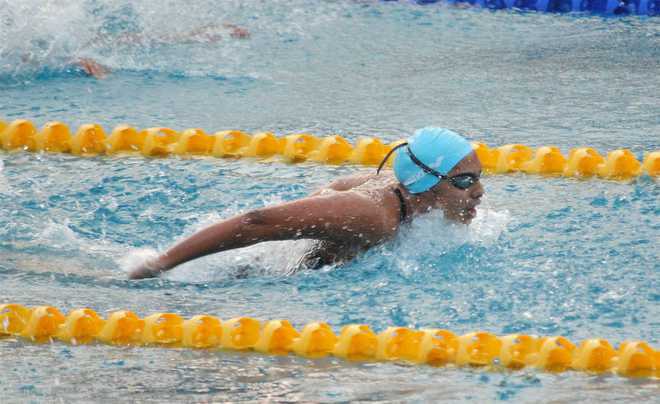 India storm South Asian Games; take medal count to 42