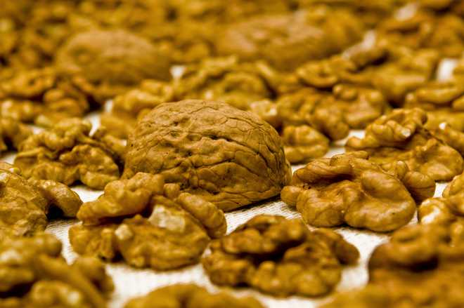 Few ''walnuts'' a day can keep extra kilos at bay