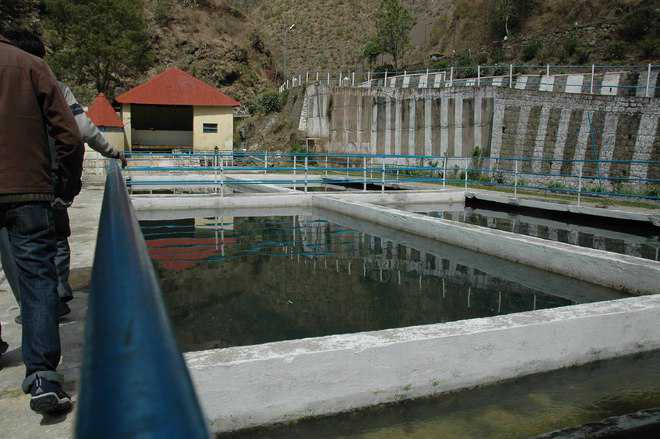 Stop untreated water from flowing into Ashwani Khud: NCDC