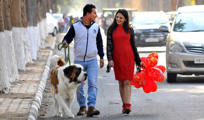 Valentine’s Day celebrations a low-key affair in city