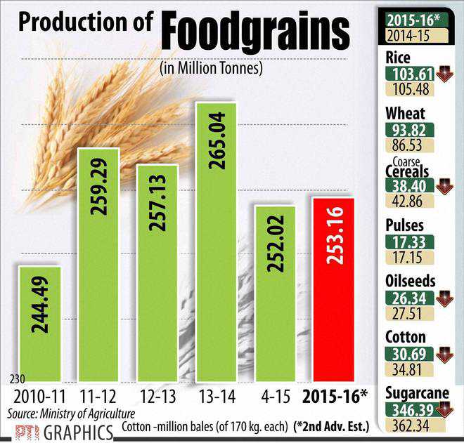 Despite odds, grain produce to be higher