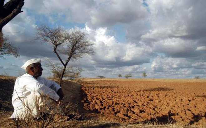 3,228 Maharashtra farmers committed suicide in 2015