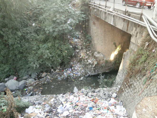 Garbage disposal plan for Palampur suburbs fails to see light of day