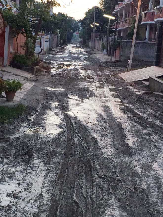 Muddy streets bane of residents of Guru Amar Das Avenue in city The