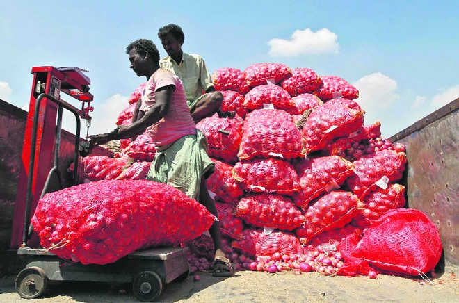 Agri export corpn’s onion deal caused Rs2.8-cr loss: CAG