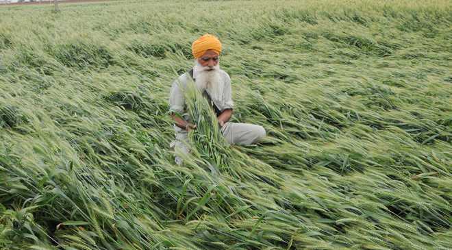 Punjab Assembly passes Agriculture Indebtedness Bill