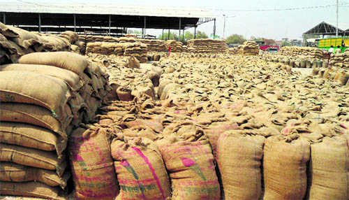 Wheat procurement from Apr 1, state awaits funds