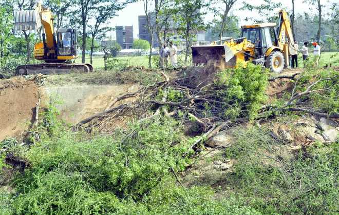 2,000 trees damaged during SYL filling, says Forest Dept
