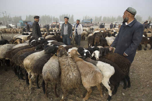 China sitting on a tinderbox in Xinjiang