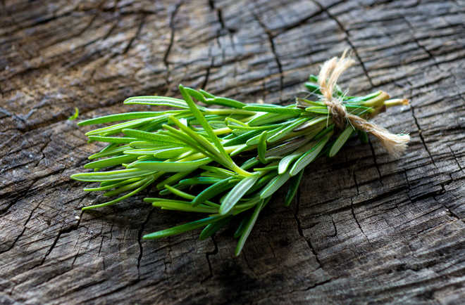 Sniff rosemary to improve your memory