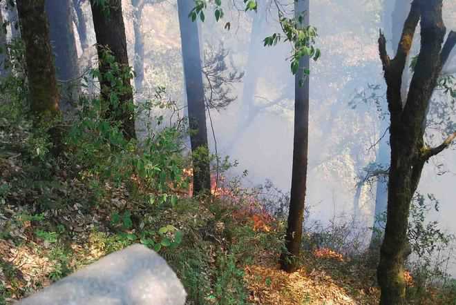 922 forest fires so far this year; admn on toes