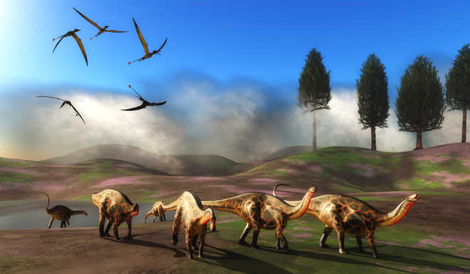 Baby sauropod dinosaurs did not require parental care