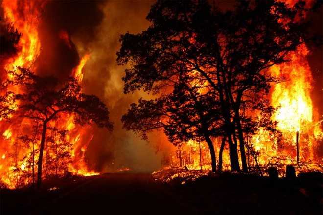 Forest fires rage  across U’khand