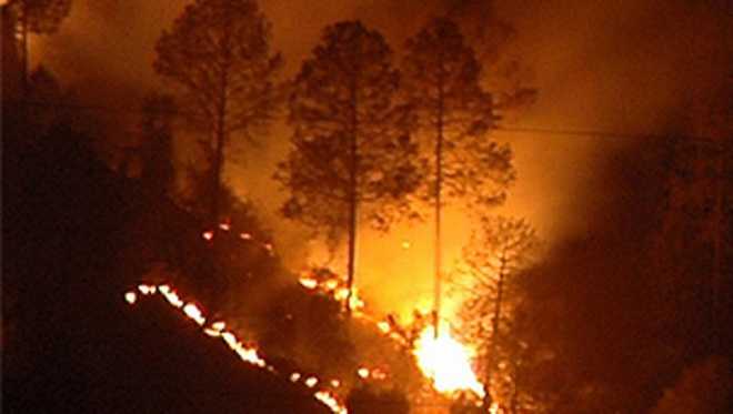 Fire wrecks oak forest in Shimla, Solan