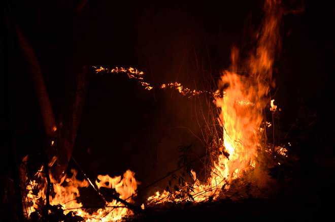 IAF in action to douse forest fires