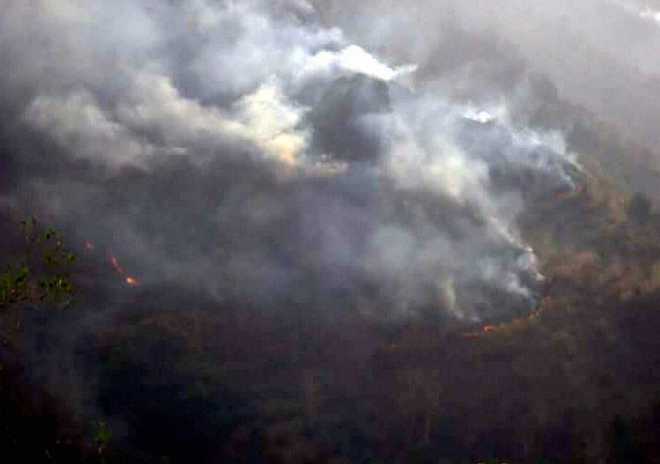 Uttarakhand forest fires may be man-made: Javadekar