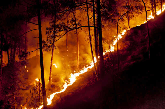 Rain respite for forest fire-ravaged hill states soon