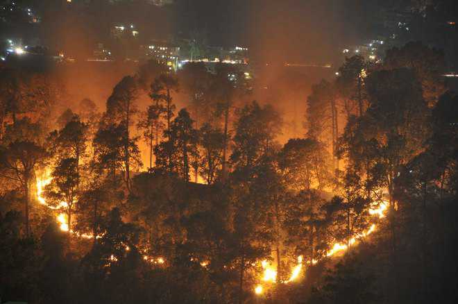 Shocked at casual response, NGT puts U’khand, HP on notice