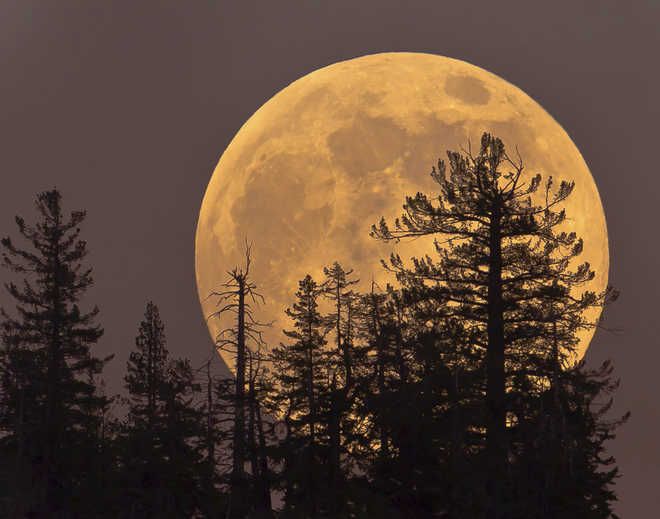 Full moon may reduce sleep in kids: Study