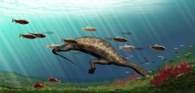 Meet the world''s first plant-eating marine reptile