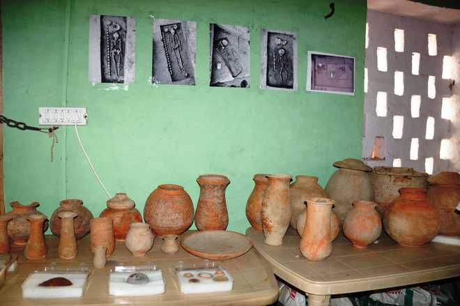 Democracy has roots in Harappa
