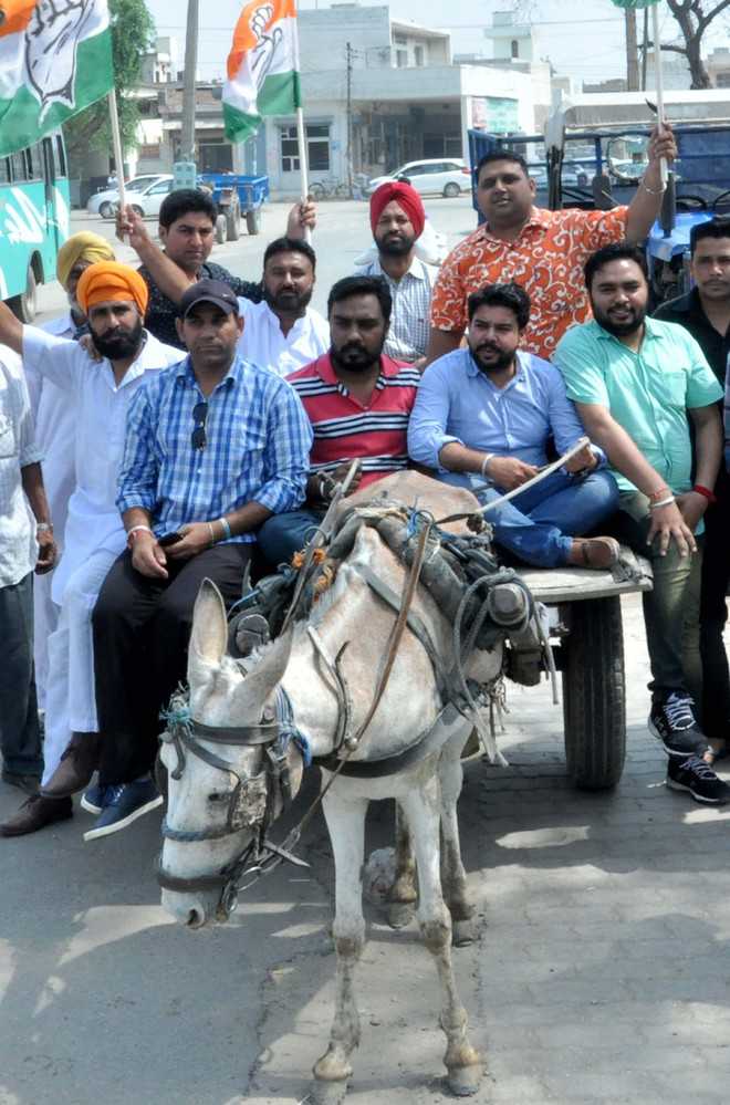Mule ‘ill-treated’ during YC protest