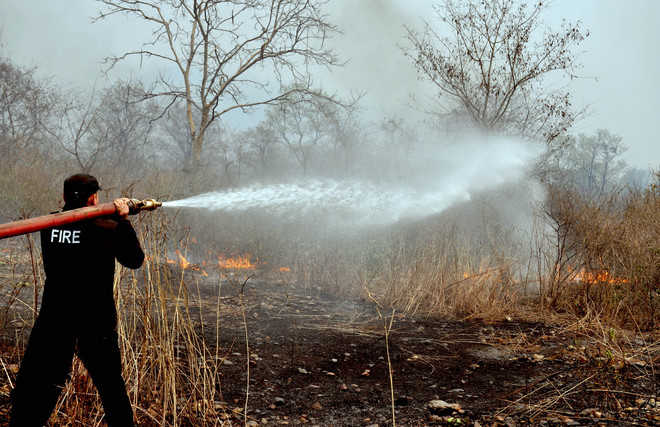 Forest fires may affect water quality: Experts