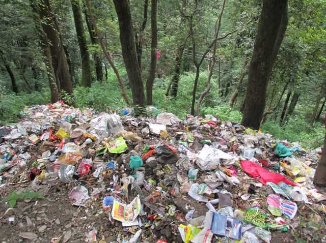 Tourists littering Kangra district: Forest dept
