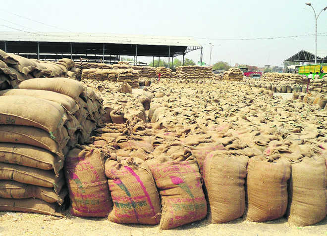 Wheat procurement: State leads in share for Central pool, but misses target