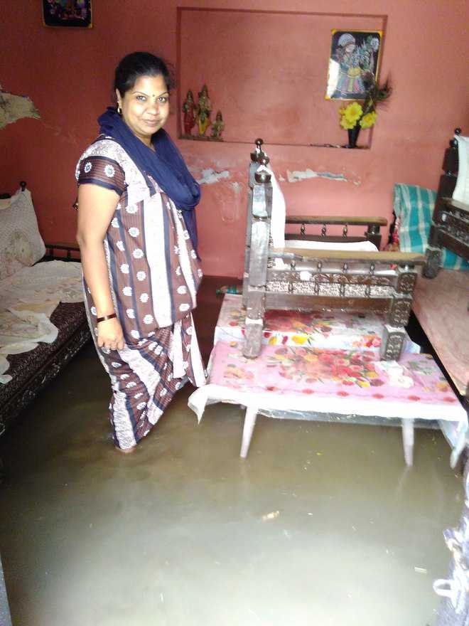 Downpour leaves Bhiwani colonies waterlogged