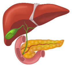 With 5 procedures, PGI shows the way in pancreas transplant : The ...