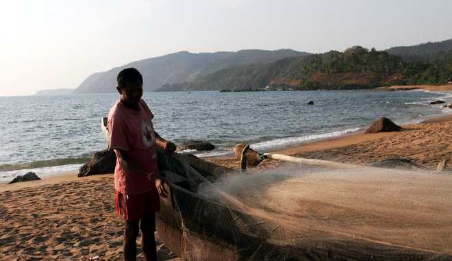 Ban on fishing in Pong reservoir from today