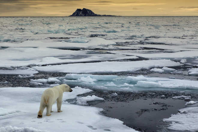 Arctic may become ice-free for first time in 1,00,000 years : The ...