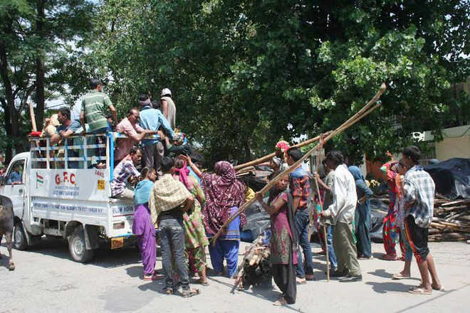 Slum-dwellers evicted by D’sala MC left in lurch