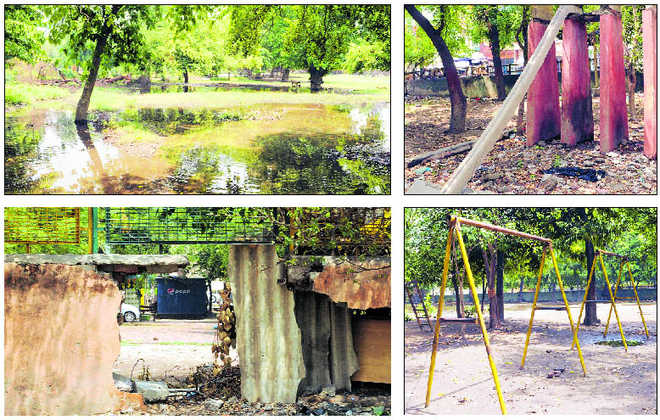 Basic amenities elude historic Gol Bagh