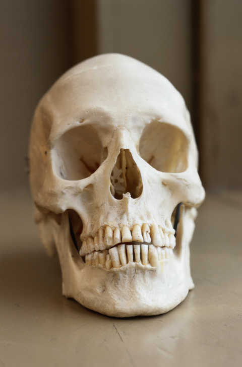 ''Deep Skull'' not related to indigenous Australians