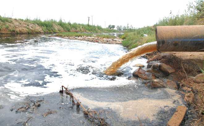 State, neighbours step up efforts to curb pollution in Ghaggar