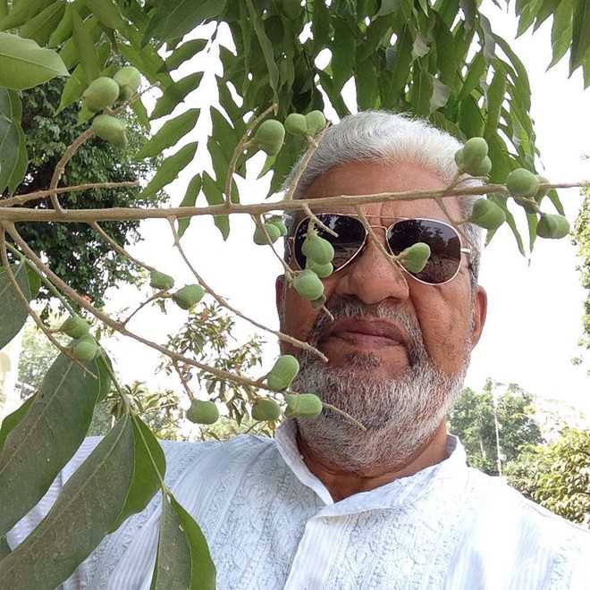 Nature lover turns saviour for city’s endangered trees