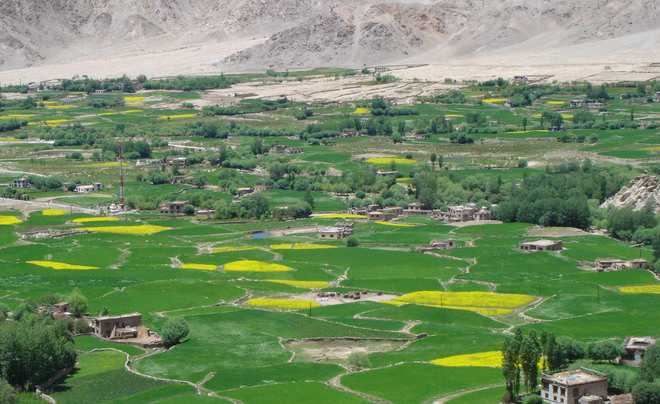 Not getting good price for their crops, Lahaul farmers demand market yard