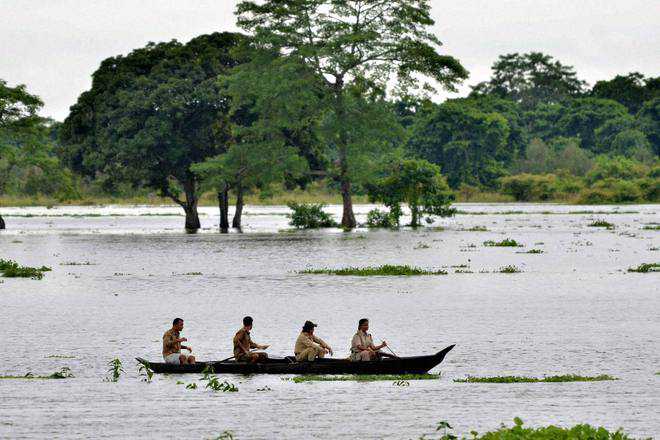Assam grapples with deluge