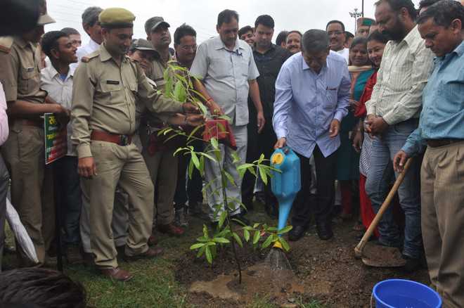 Harela symbol of state’s culture, environment conservation: CM