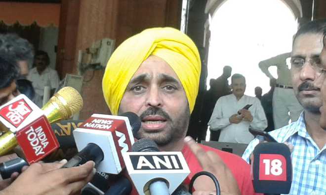 Mann’s statements contradictory, says parliamentary panel
