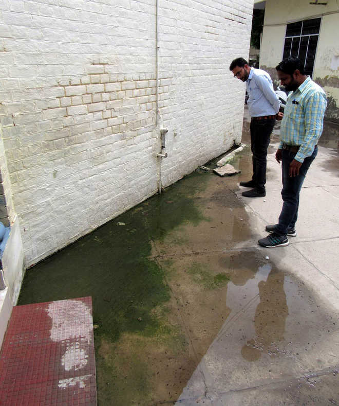 Abohar MC faces flak for ignoring cleanliness in its own complex