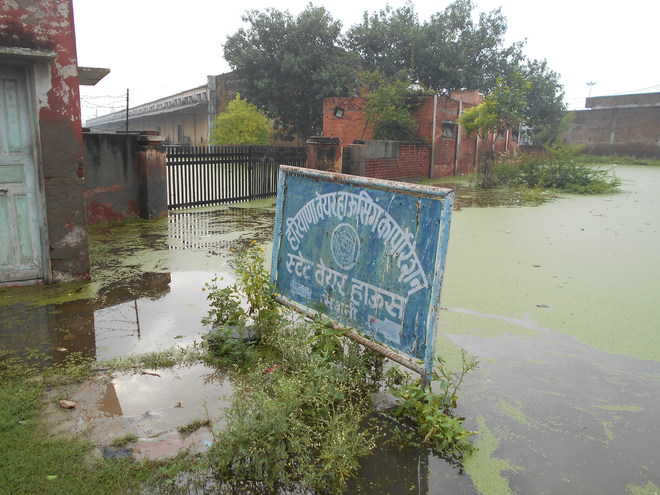 Fertilisers worth crores under flood threat in Bhiwani