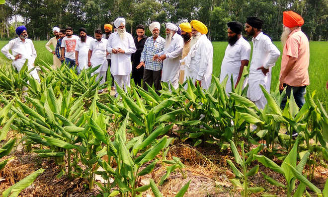 Farmers get tips on natural farming
